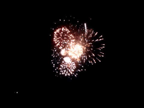 fireworks-white2.gif